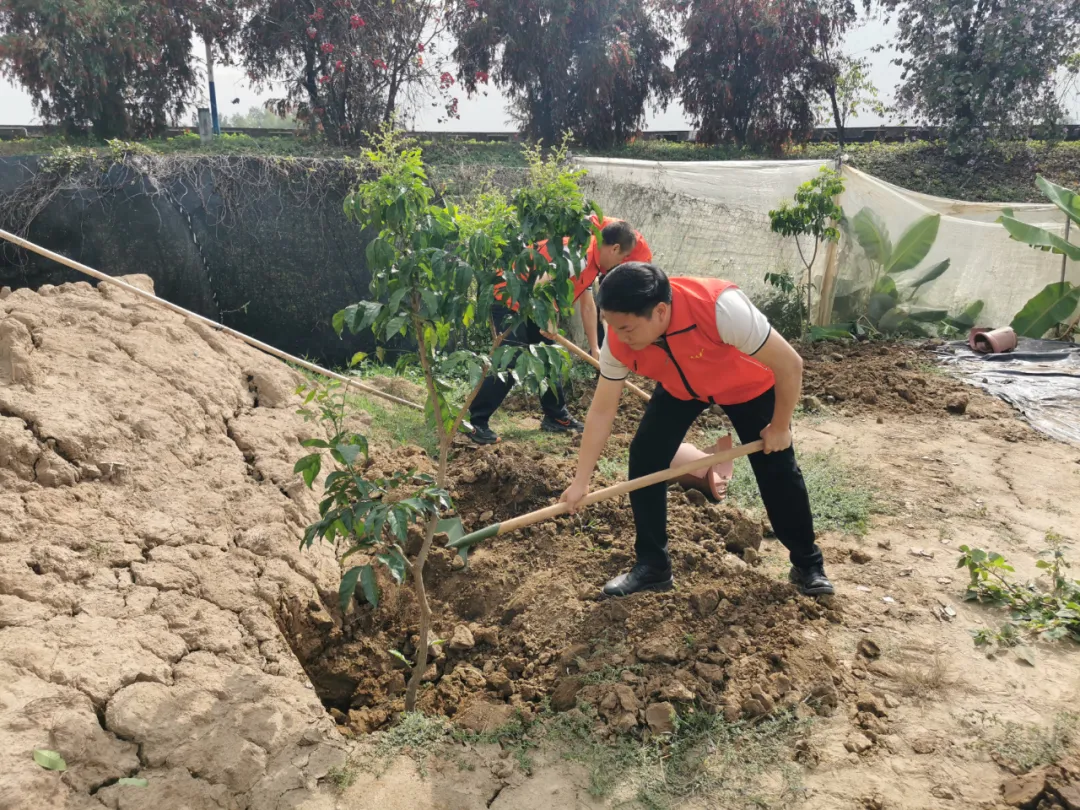 精品乱码一区二区三四区视频