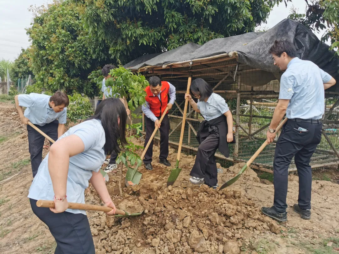 精品乱码一区二区三四区视频
