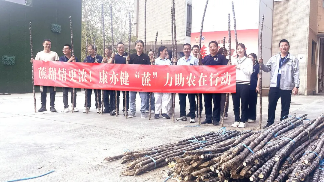 精品乱码一区二区三四区视频